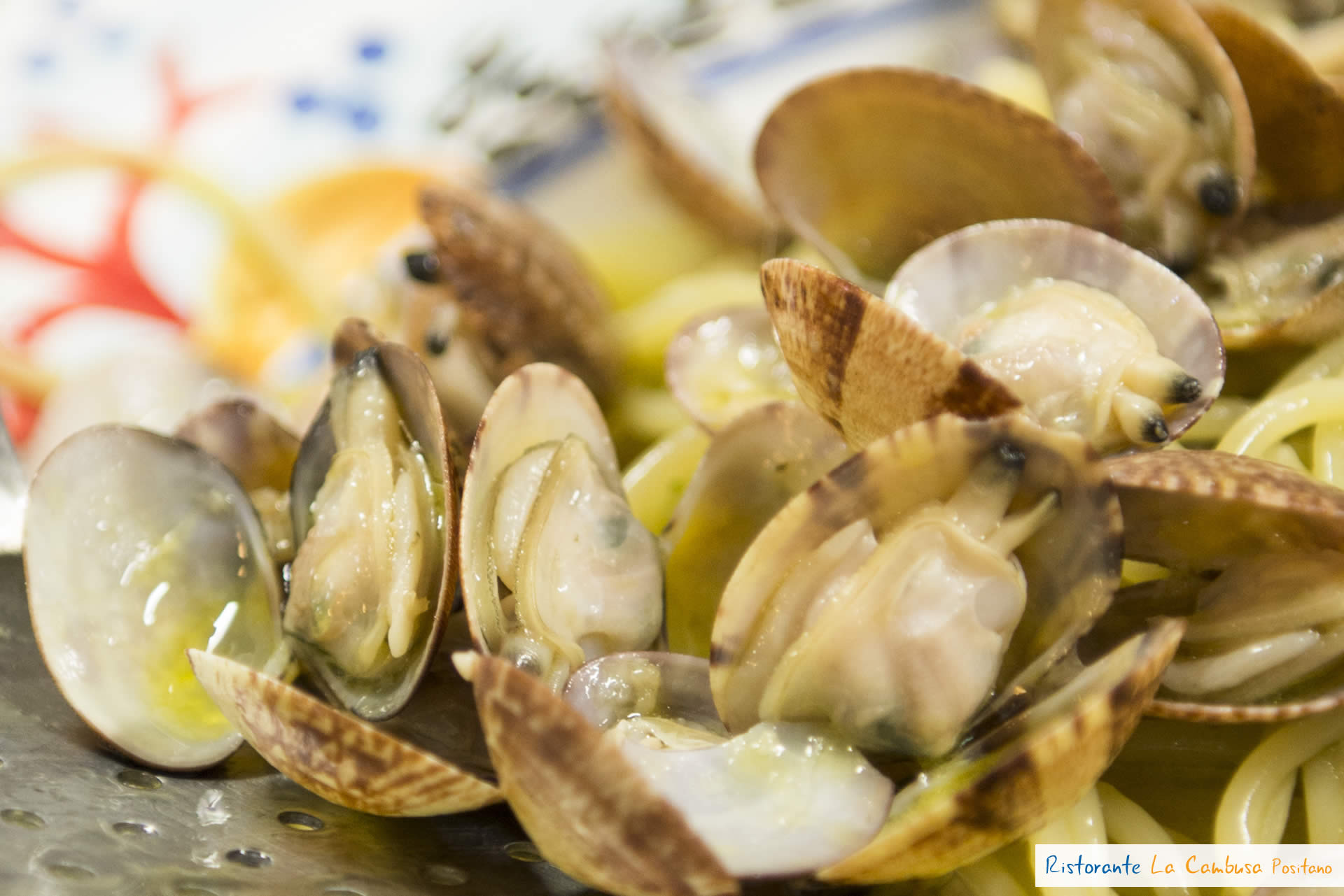 vongole